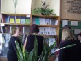 /album/fotogalereya/pic-0036-jpg/